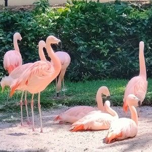 Meet your Posher, Wendy